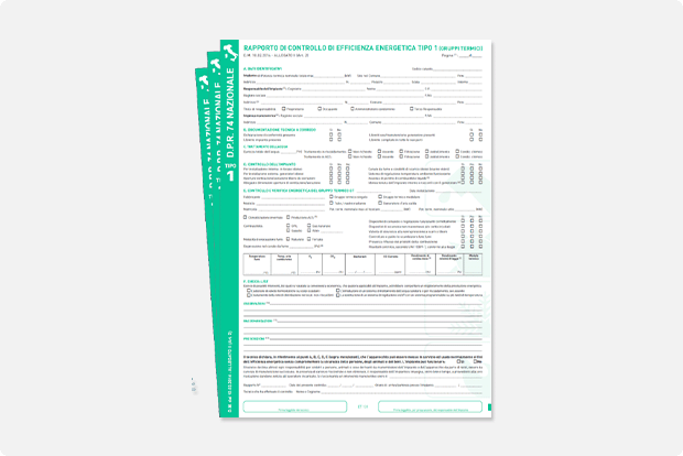 Rapporti di controllo nazionali tipo 1 in fascicolo