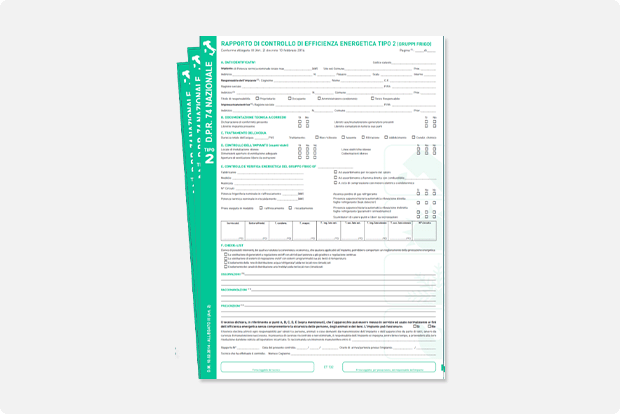 Rapporti di controllo nazionali tipo 2 in fascicolo